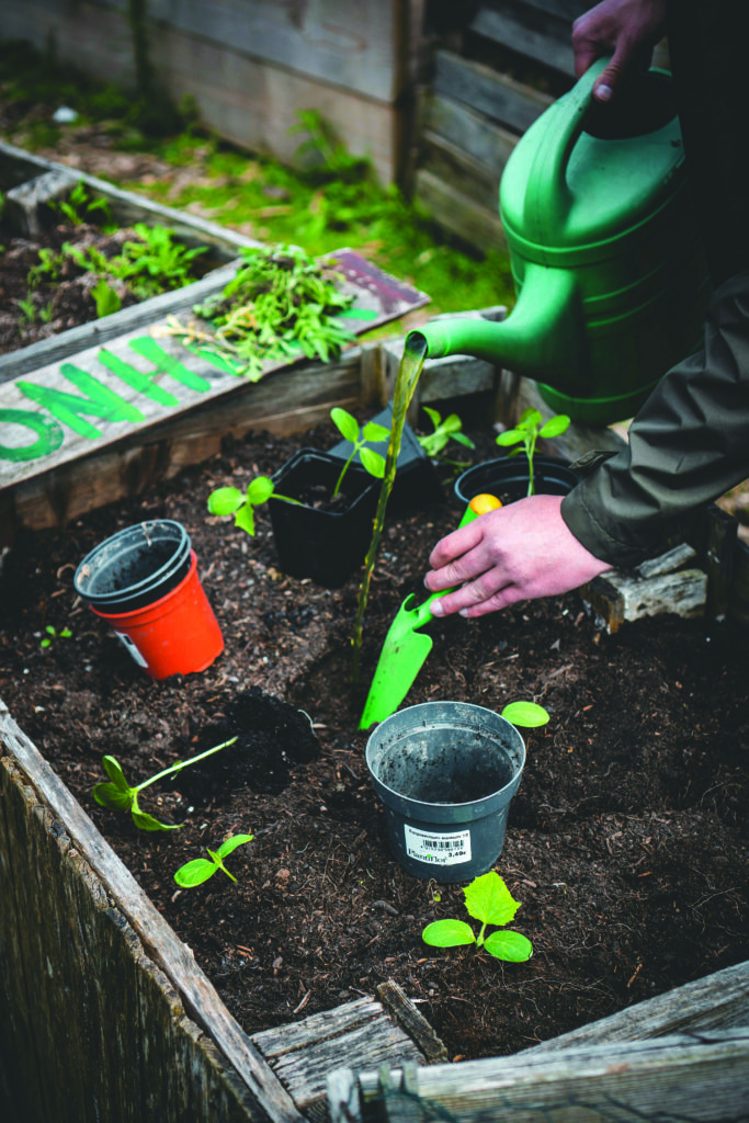 hands gardening in a raised bed photo by Jonathan Kemper on Unsplash