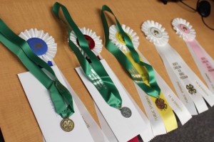 Cover photo for 2016 Communications Contest Results