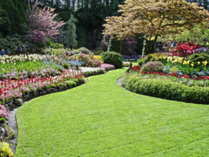 landscaped lawn and flower garden borderss