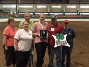 Cover photo for 2018 Candace Norman Outstanding Service Award