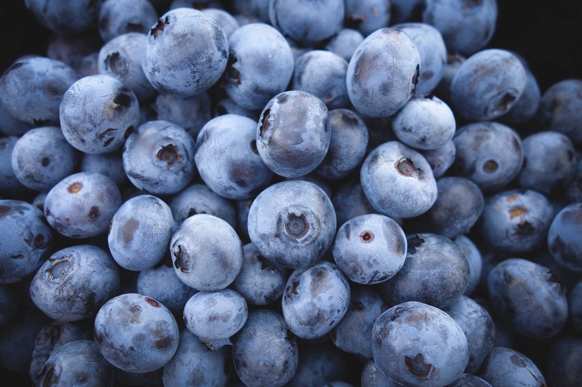 A picture of a bunch of blueberries