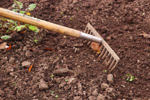 image of a rake raking garden soil and weeds.