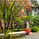 image of landscape, park bench, street with lighthouse and streetlamp in front of privacy fence