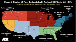 Cover photo for Bankruptcy: Chapter 12 Bankruptcies Up 31% in Southeast
