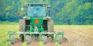 image of a man on a tractor in a field of row crops.