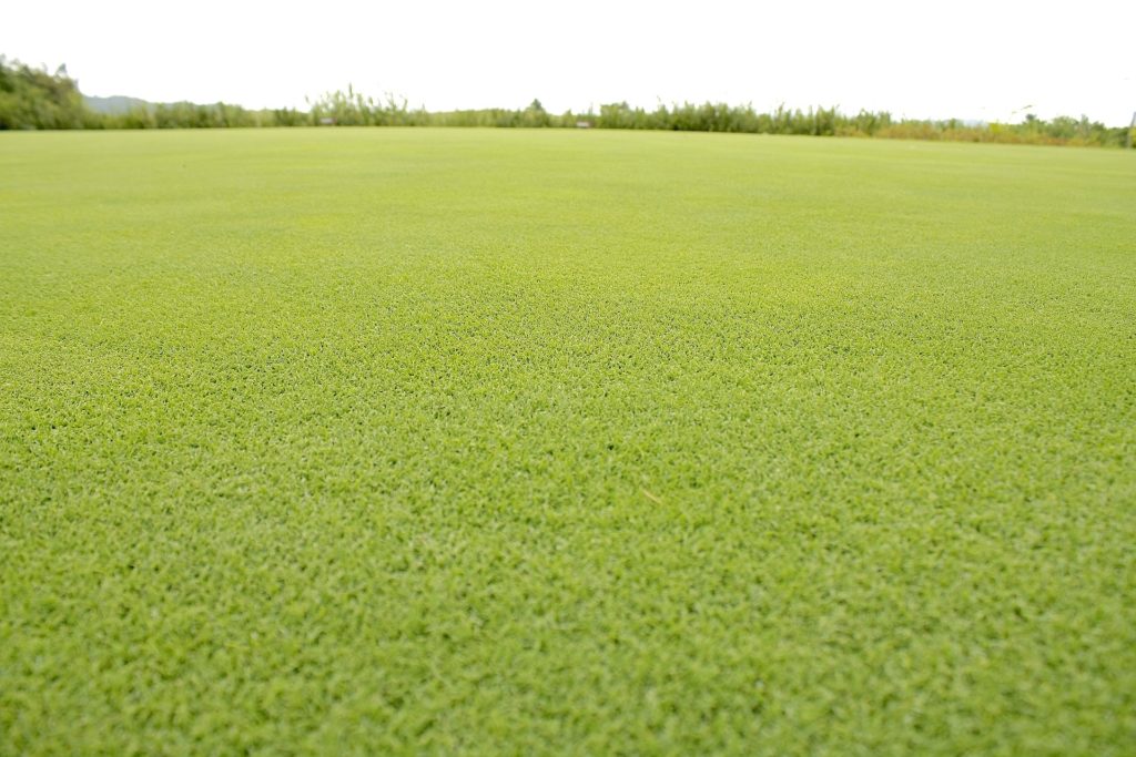 A photo image of a grass fairway.