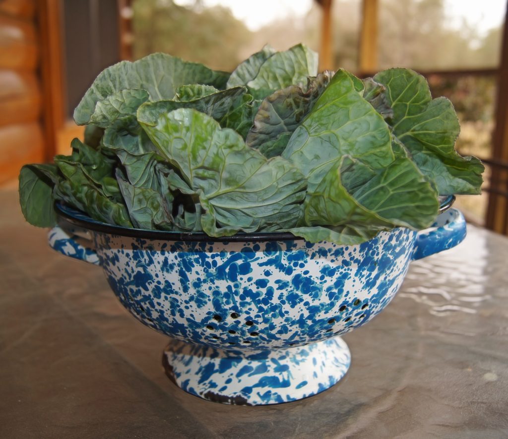 image of a blue colander full of collard greens