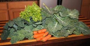 collards, carrots, kale, lettuce and turnip greens lying on a butcher block table with kitchen in the background.