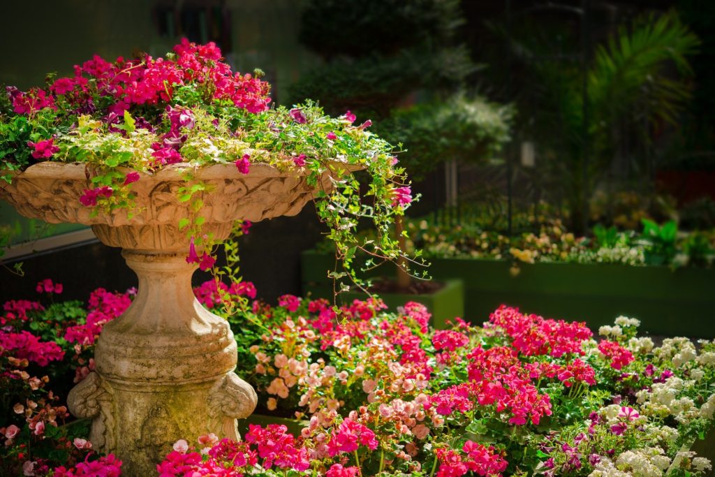 image of a birdbath filled with flowers and sitting in the middle of a flower garden