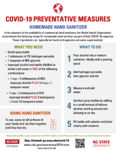 Image of the Homemade Hand Sanitizer Fact sheet with ingredients and directions to make