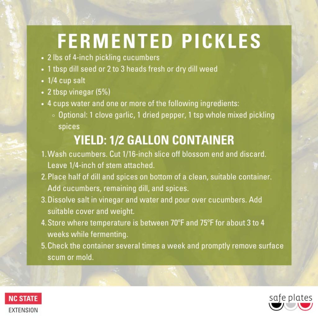 Fermented pickles recipe 