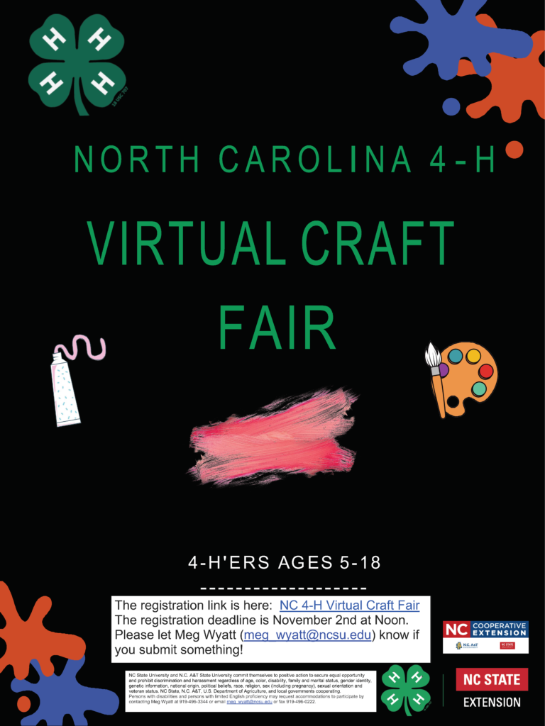 NC 4-H Virtual Craft Fair flyer