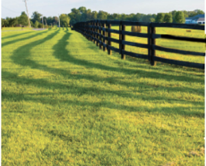 pasture with a fence