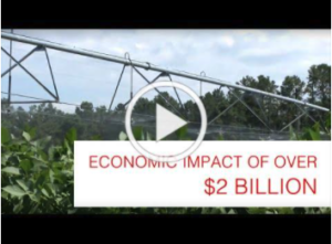 Thumbnail title Economic Impact of Over $2 Billion