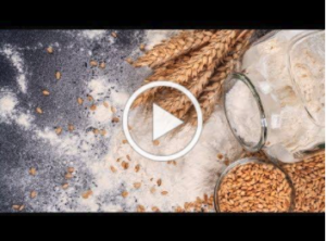 video thumbnail of wheat and pods, spilled jar of flour