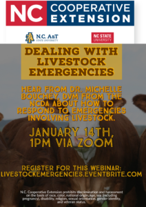 Cover photo for Dealing With Livestock Emergencies