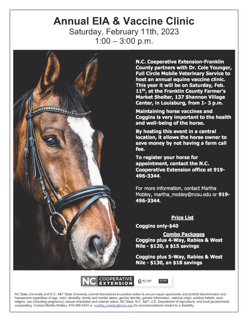 Bridled brown & white horse's head on EIA Vaccine Clinic flyer with location, date, time and prices