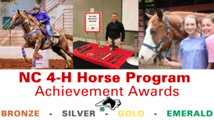 Cover photo for January 2021 NC 4-H Horse Program Newsletter