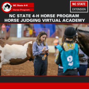 Cover photo for February 2021 NC 4-H Horse Program Newsletter
