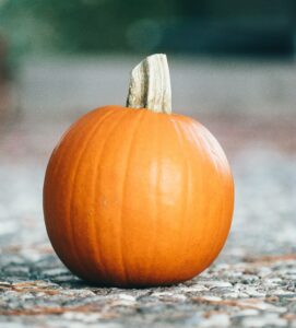 a pumpkin