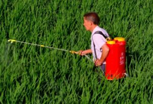 Pesticide applicator in a field of green crops