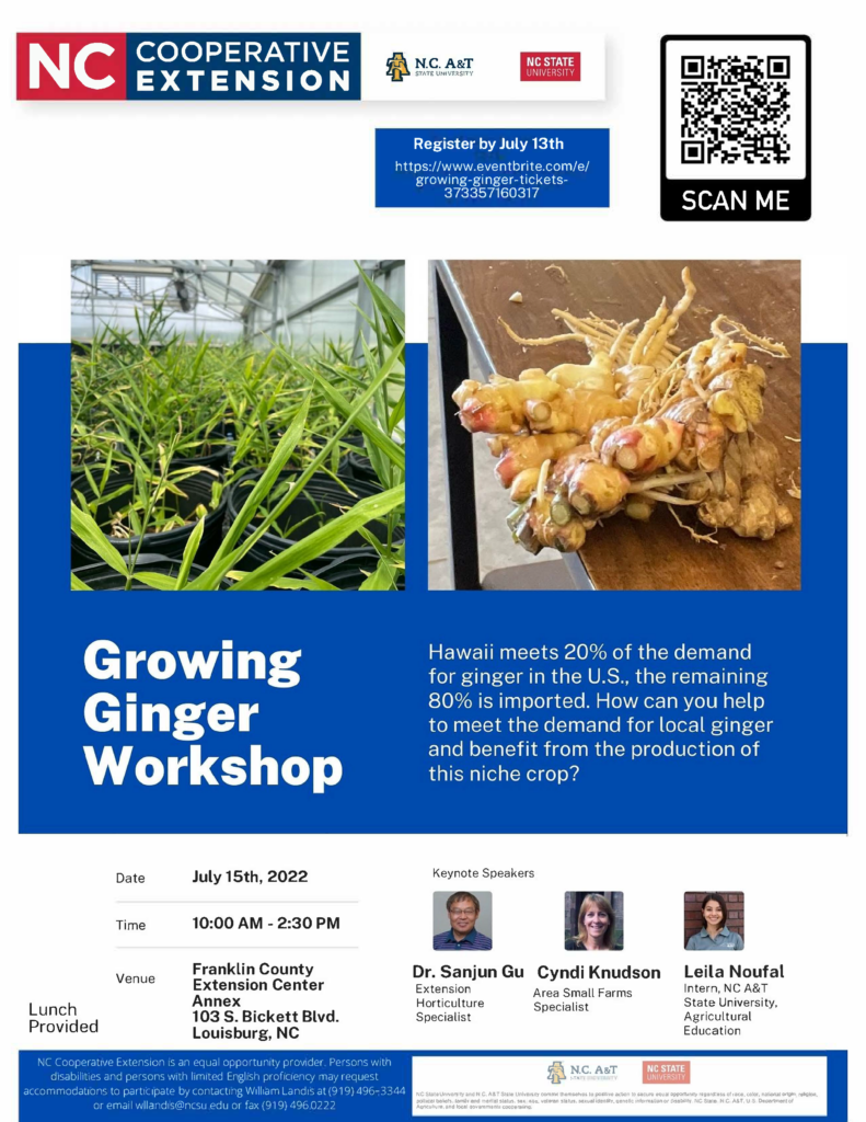 Growing Ginger Workshop flyer