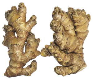 2 Ginger root images
