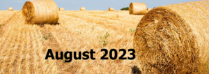 August 2023 on field of hay background