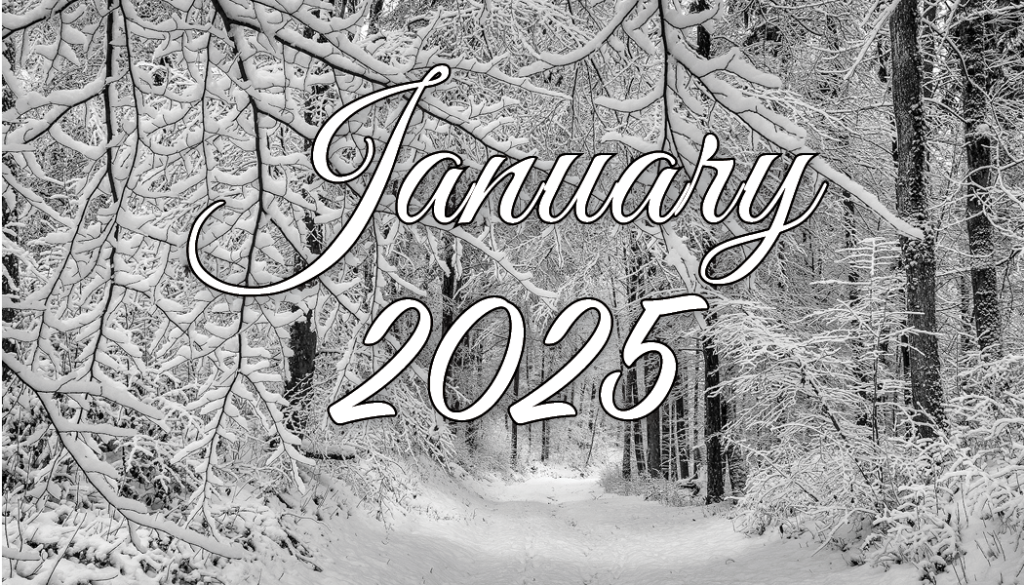 January 2025 on a snowy tree covered landscape
