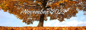 November 2023 golden leaves from an oak tree fell on the ground