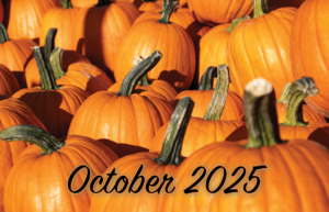 pile of pumpkins image by Deborah Jackson from Pixabay