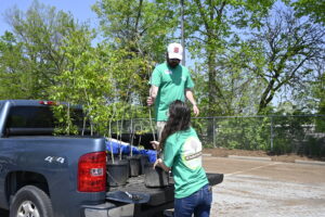 Two people load trees in the bed of a truck