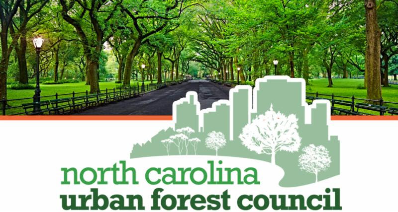NC Urban Forest Council logo in front of tree-lined street