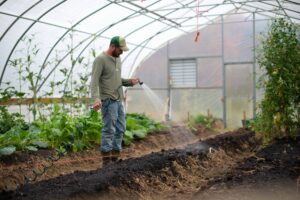 Cover photo for Attention Beginning Farmers! Upcoming Small Farm Bootcamp Series