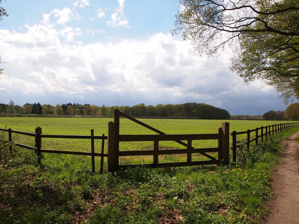 landscape of a pasture Image by Aritha from Pixabayjpg