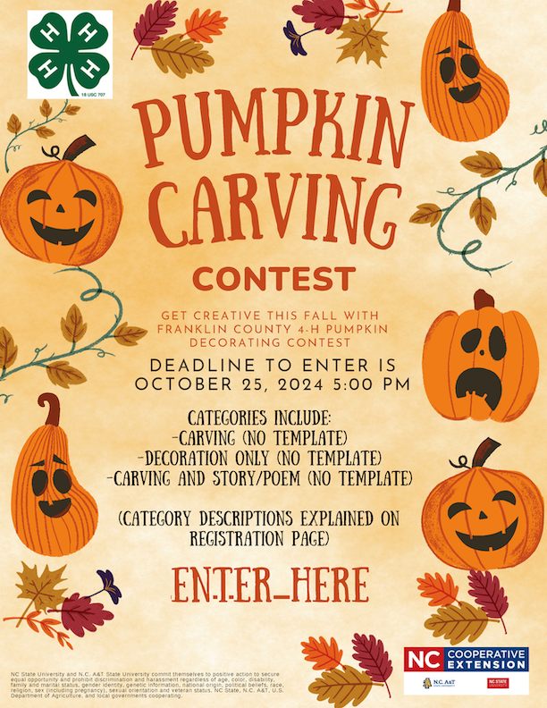 2024 Franklin County 4-H Pumpkin Contest Flyer on a Fall pumpkin decorated background