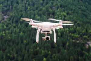 Drone flying abovea forest image