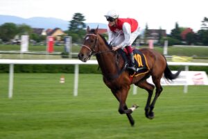 brown racehorse-and rider-Image by dreamtemp from Pixabay