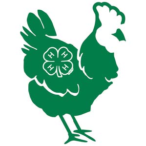 Cover photo for 2025 Four County 4-H Poultry Show and Sale Interest Meeting