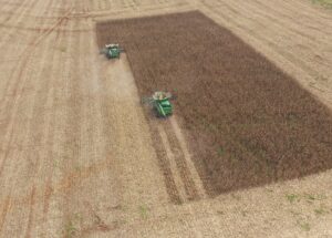 Cover photo for Head Scab and Vomitoxin Prevention Starts Now